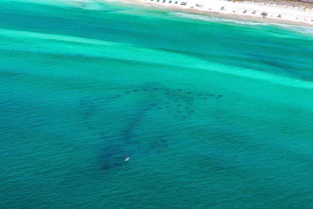 Vila Family Destination Destin